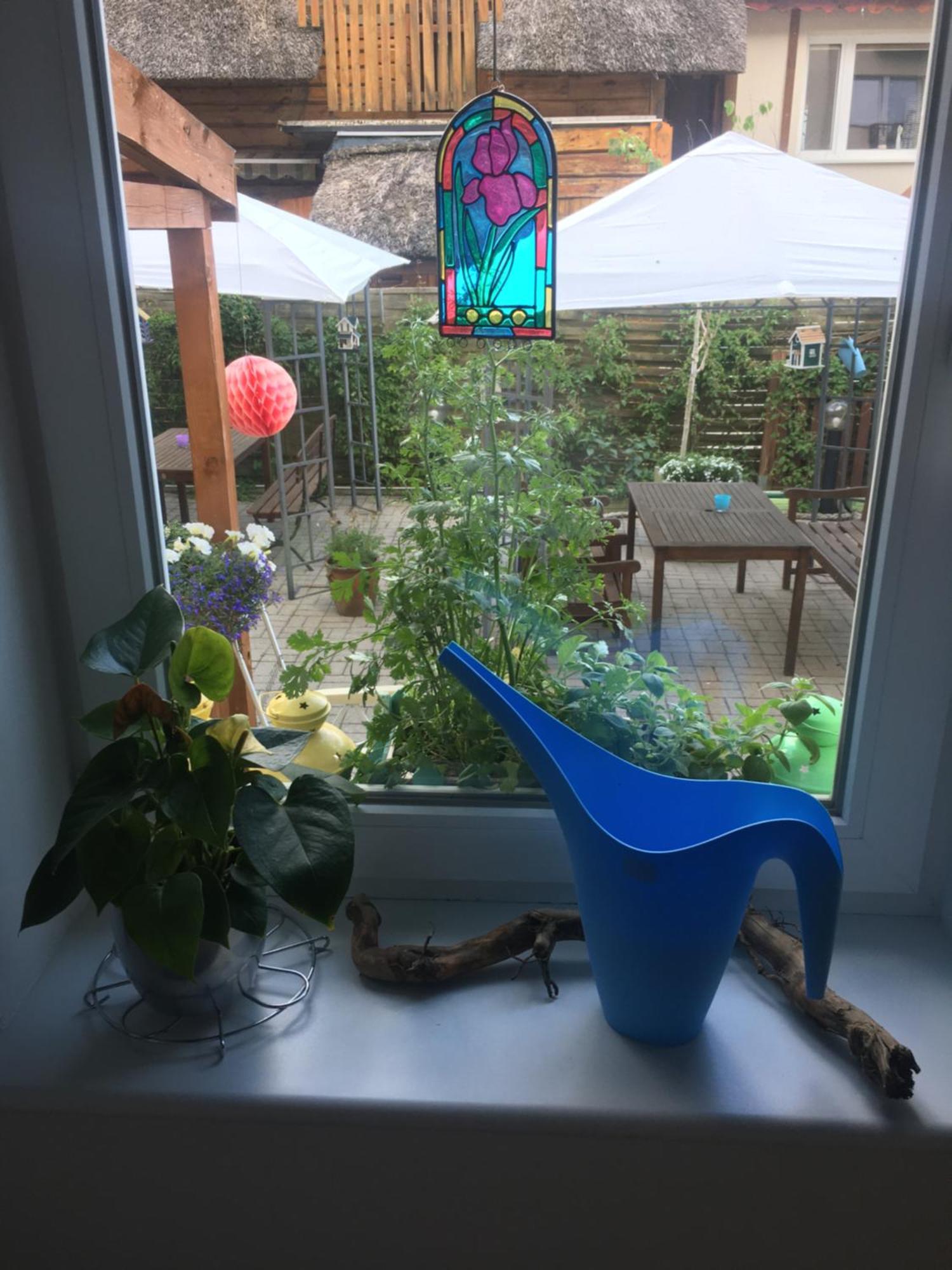 Patio Dom Goscinny Łukęcin エクステリア 写真